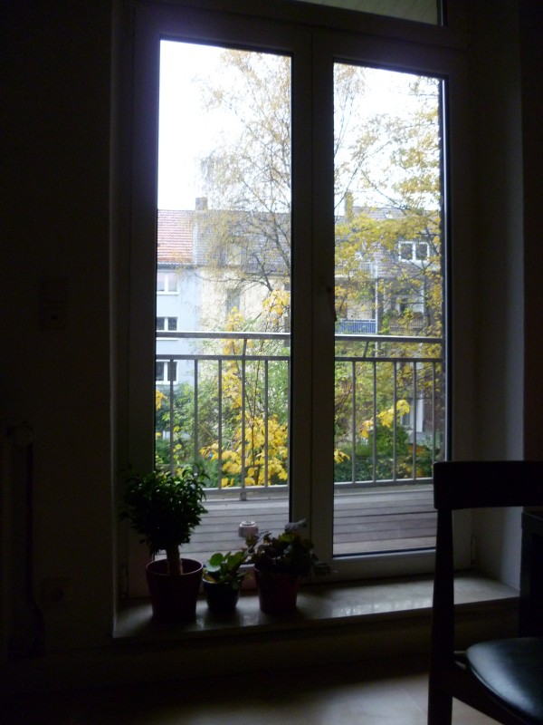 finestra sul balcone